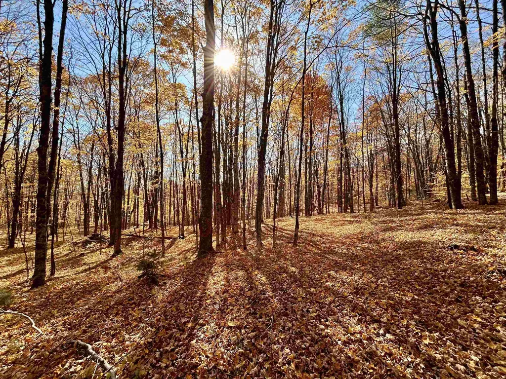 00 Private Road #3 Vershire VT 05079