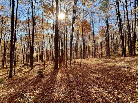 00 Private Road #3 Vershire VT 05079
