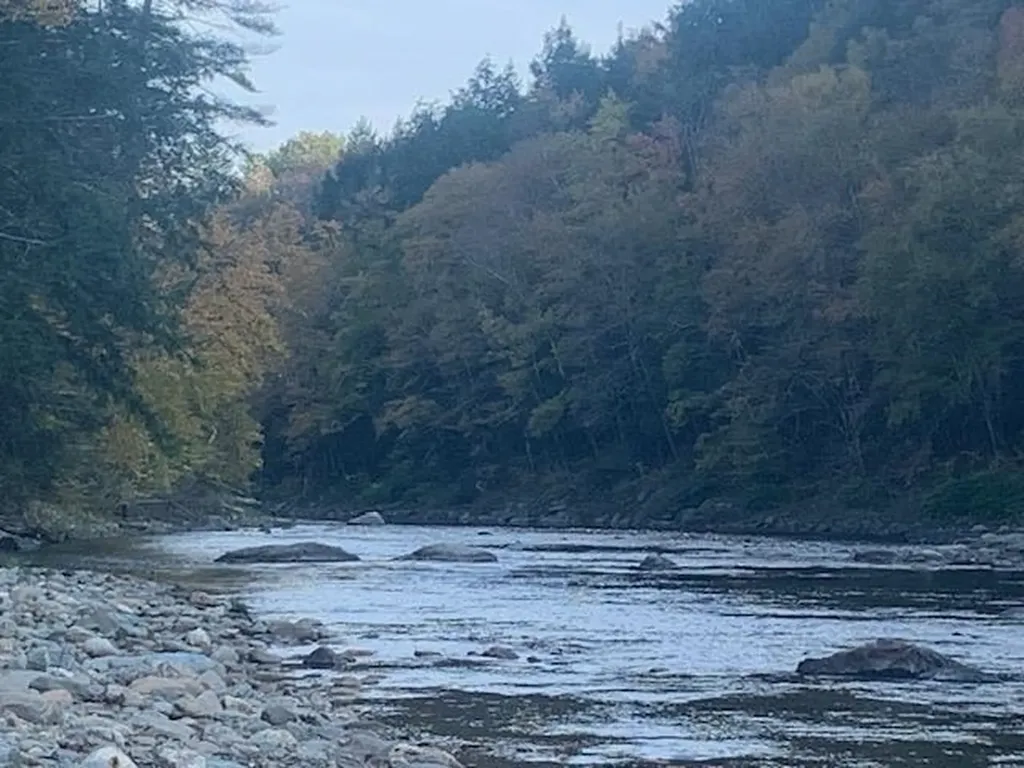 0 Blackmer Boulevard Stockbridge VT 05772