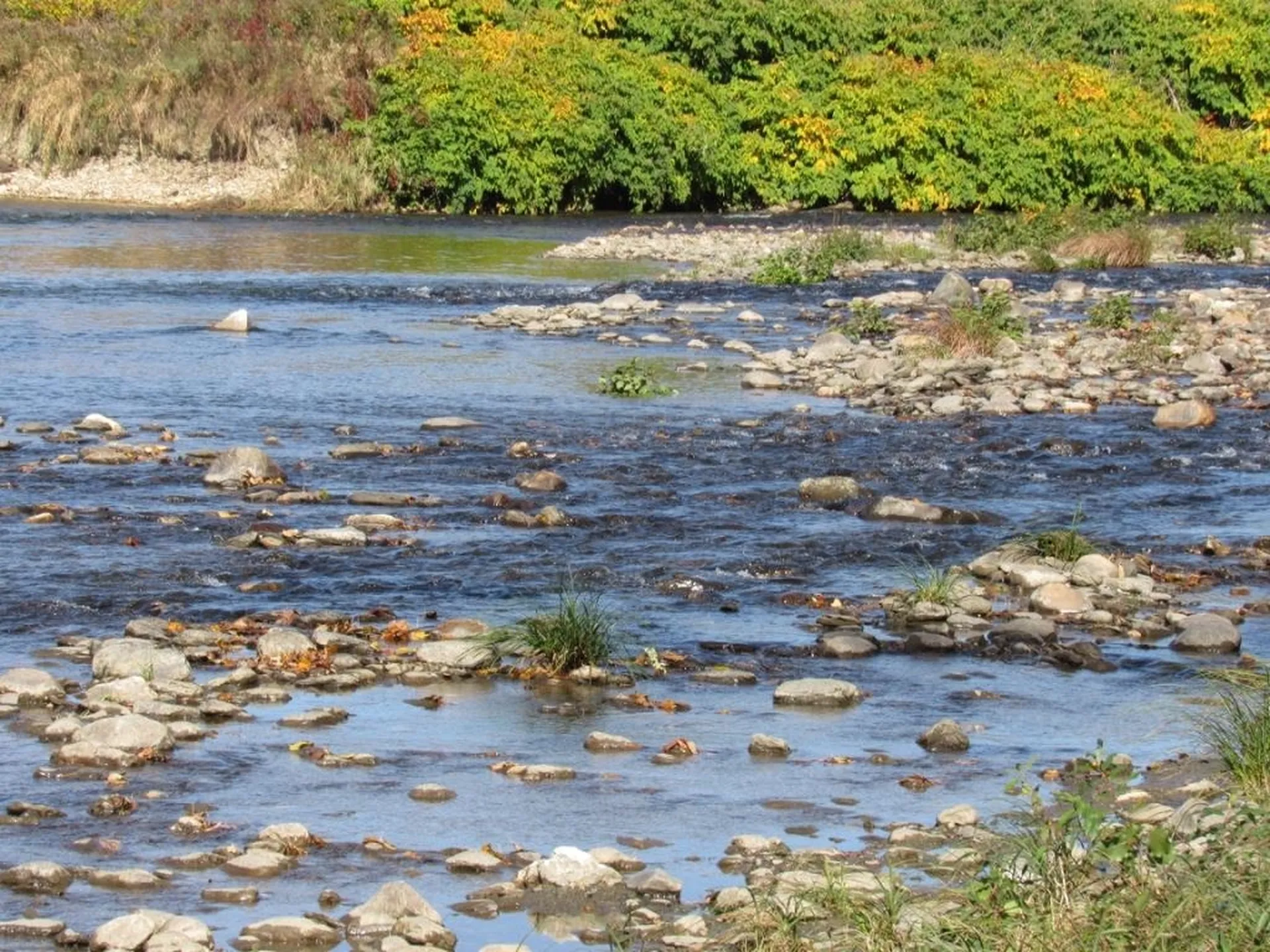 0 Blackmer Boulevard Stockbridge VT 05772