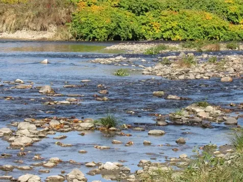 0 Blackmer Boulevard Stockbridge VT 05772