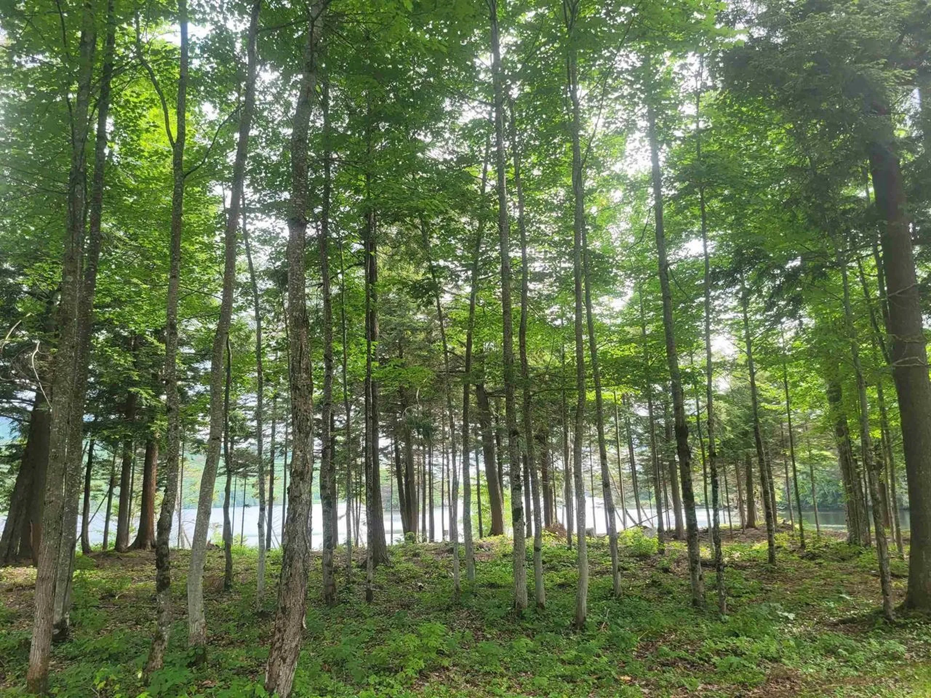 00 Hurricane Road Norton VT 05707