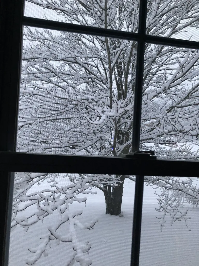 98 Peterson Terrace Middlebury VT 05753