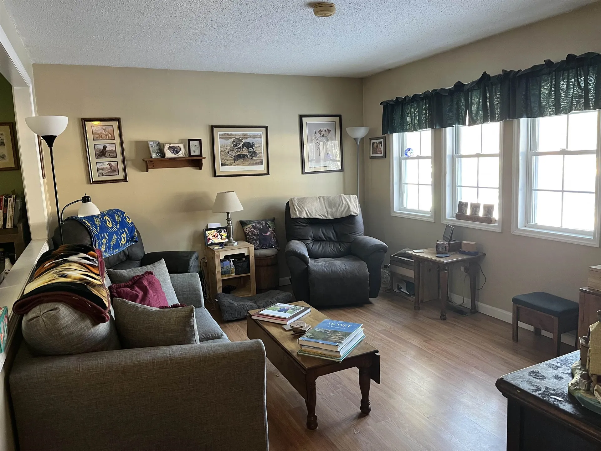 98 Peterson Terrace Middlebury VT 05753