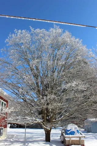 98 Peterson Terrace Middlebury VT 05753