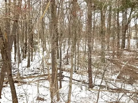 4 Blueberry Road Windham NH 03087