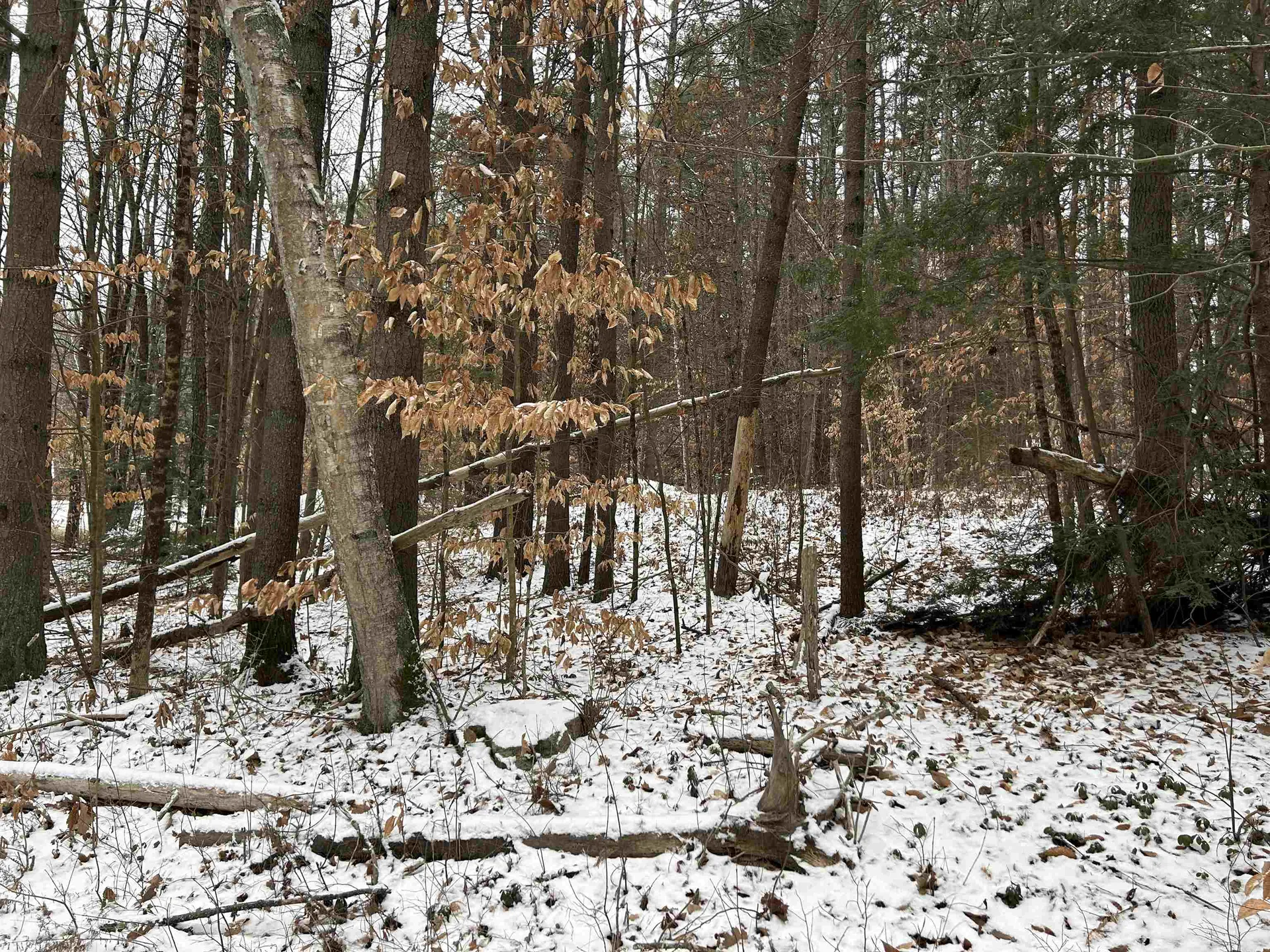 20 West Shore Road Swanzey NH 03446