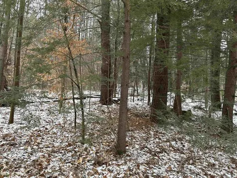 20 West Shore Road Swanzey NH 03446