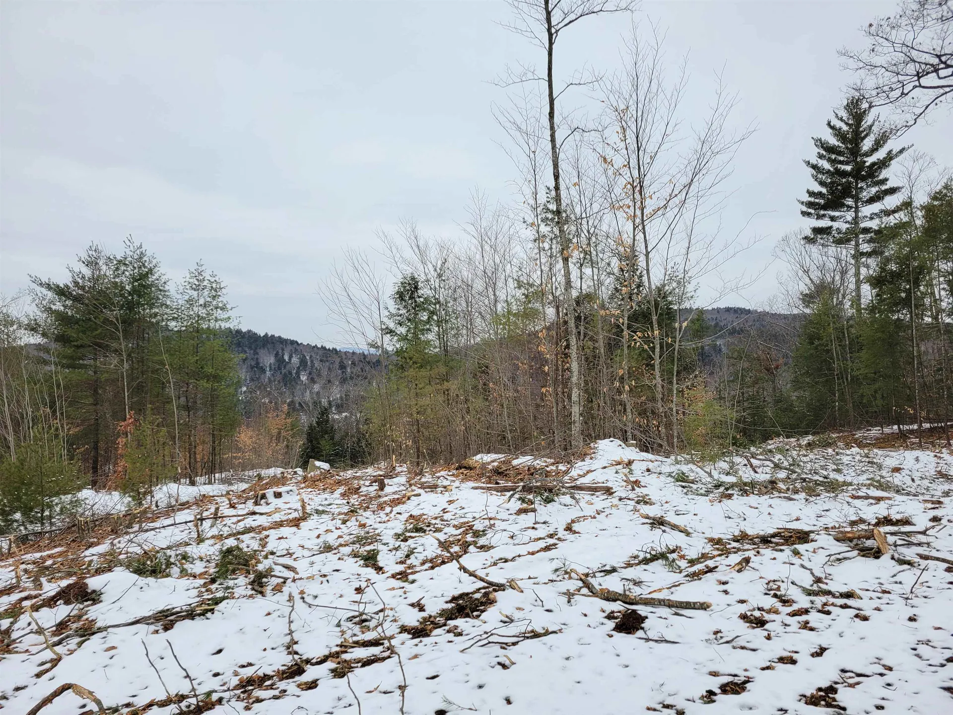 0 Eaton Road Freedom NH 03836