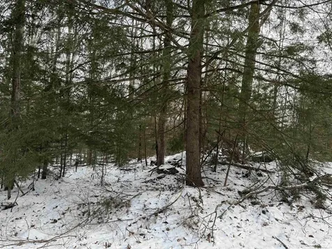 204-117 Bear Road Haverhill NH 03765