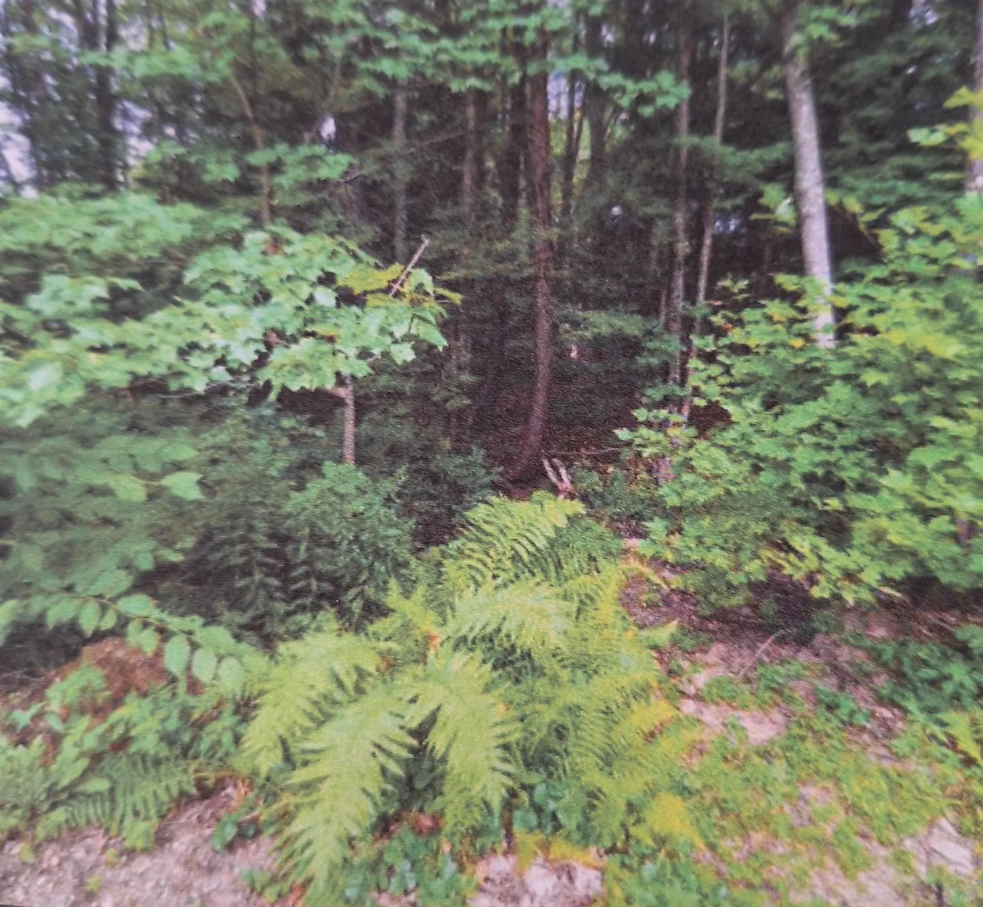 18 Robin Shore Drive Canterbury NH 03224