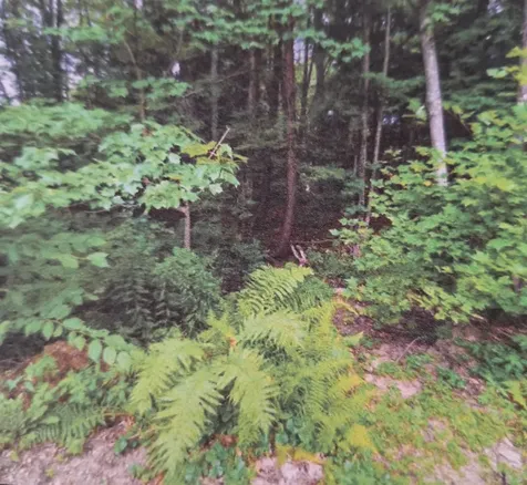 18 Robin Shore Drive Canterbury NH 03224