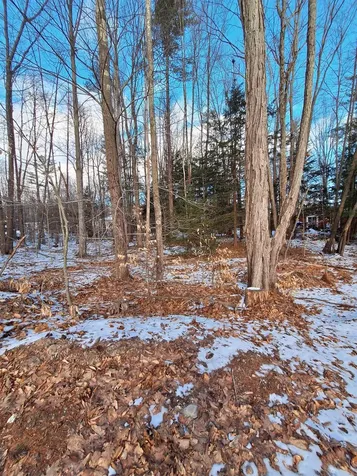 18 Robin Shore Drive Canterbury NH 03224