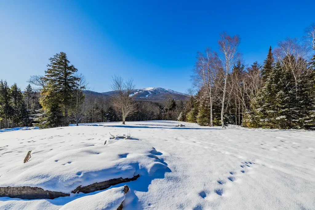 324 Pikes Falls Road Stratton VT 05155