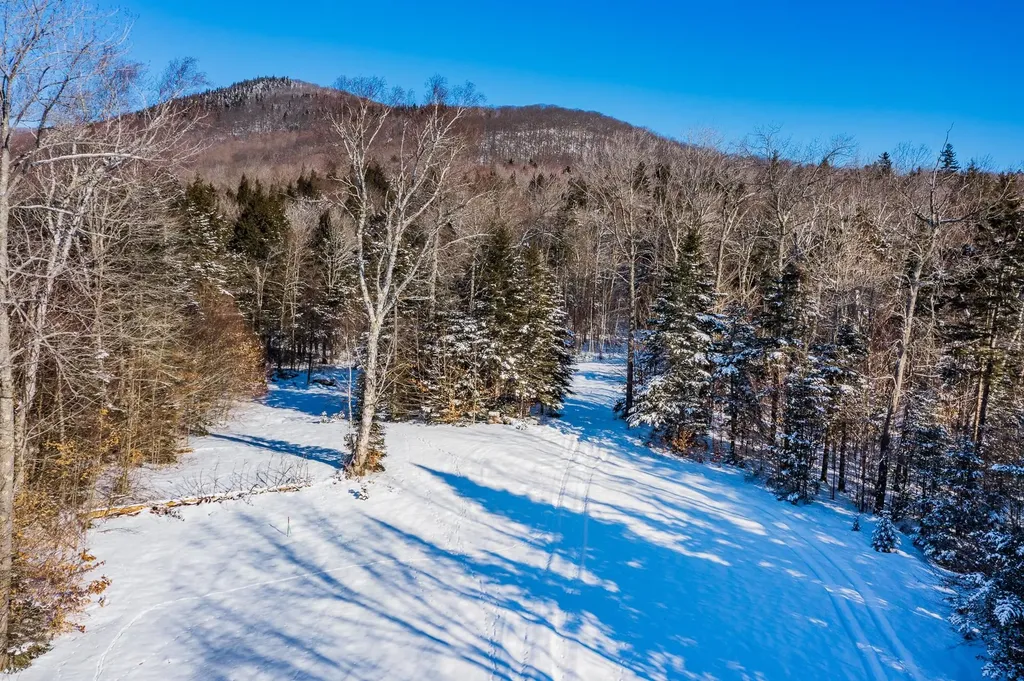 324 Pikes Falls Road Stratton VT 05155