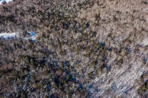 324 Pikes Falls Road Stratton VT 05155