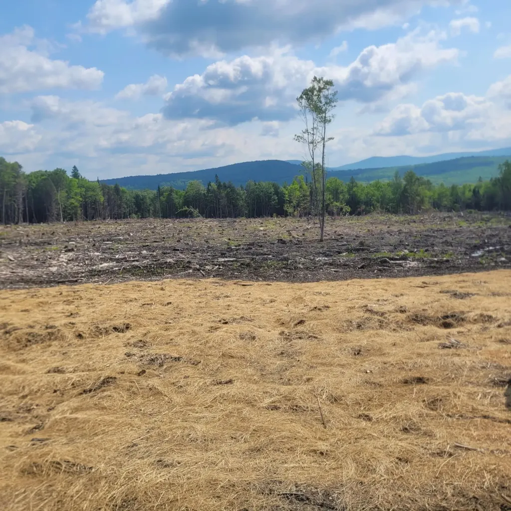 000 Kinney Hill Road Newark VT 05871