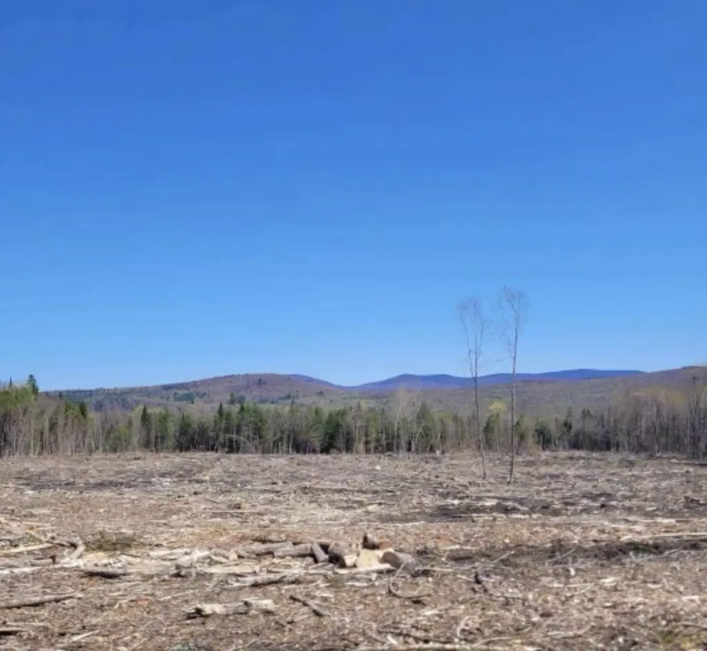 000 Kinney Hill Road Newark VT 05871