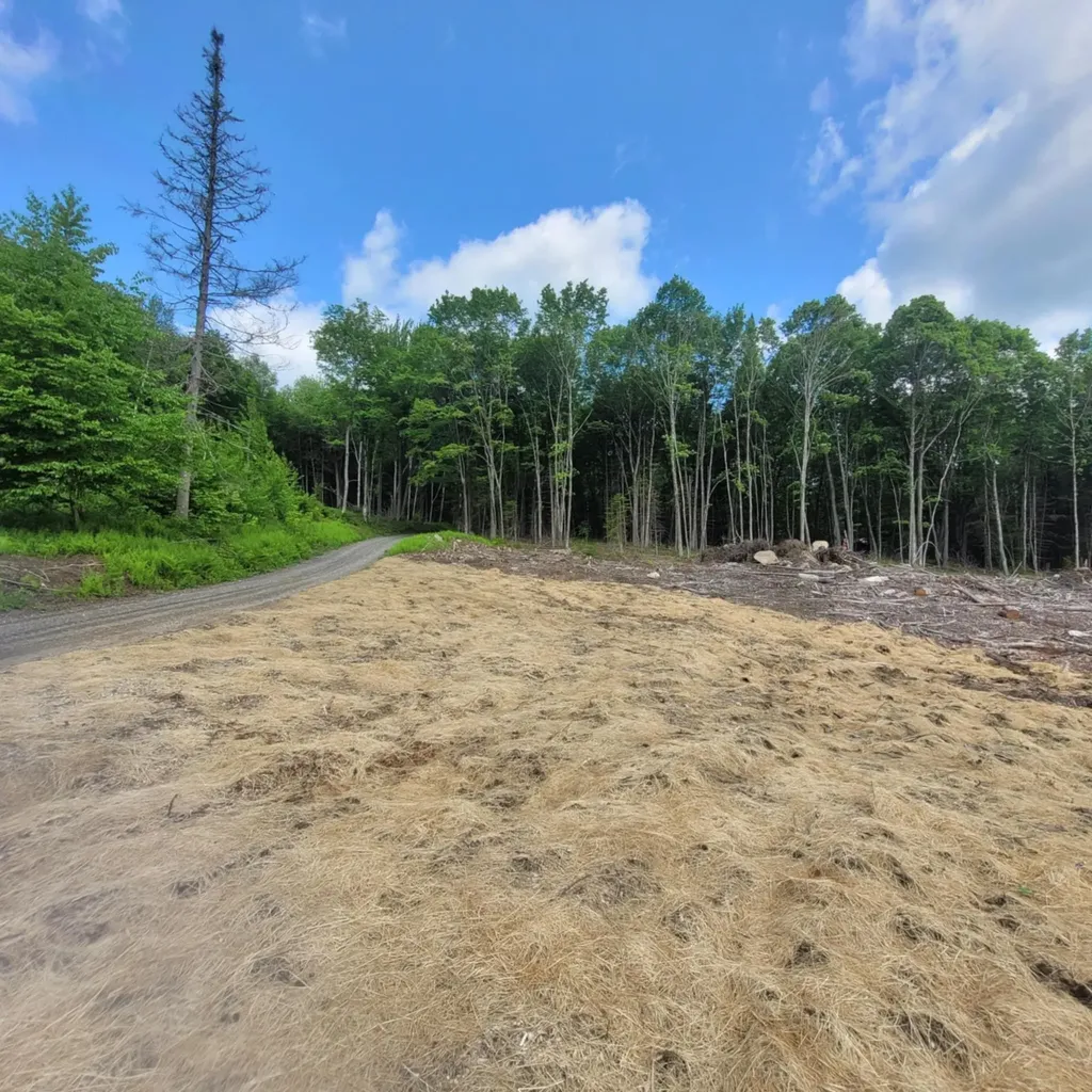 000 Kinney Hill Road Newark VT 05871