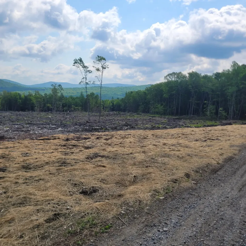 000 Kinney Hill Road Newark VT 05871