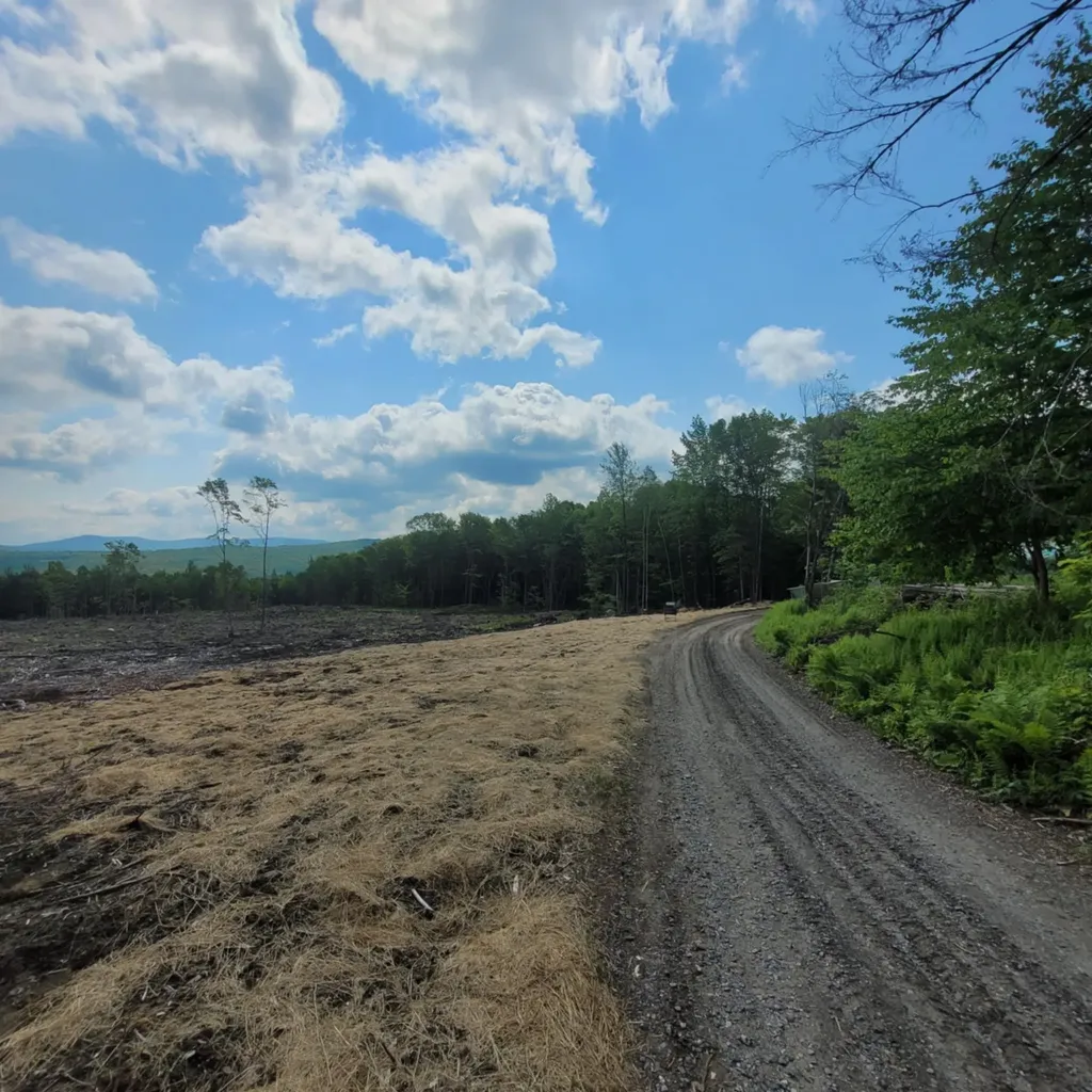 000 Kinney Hill Road Newark VT 05871