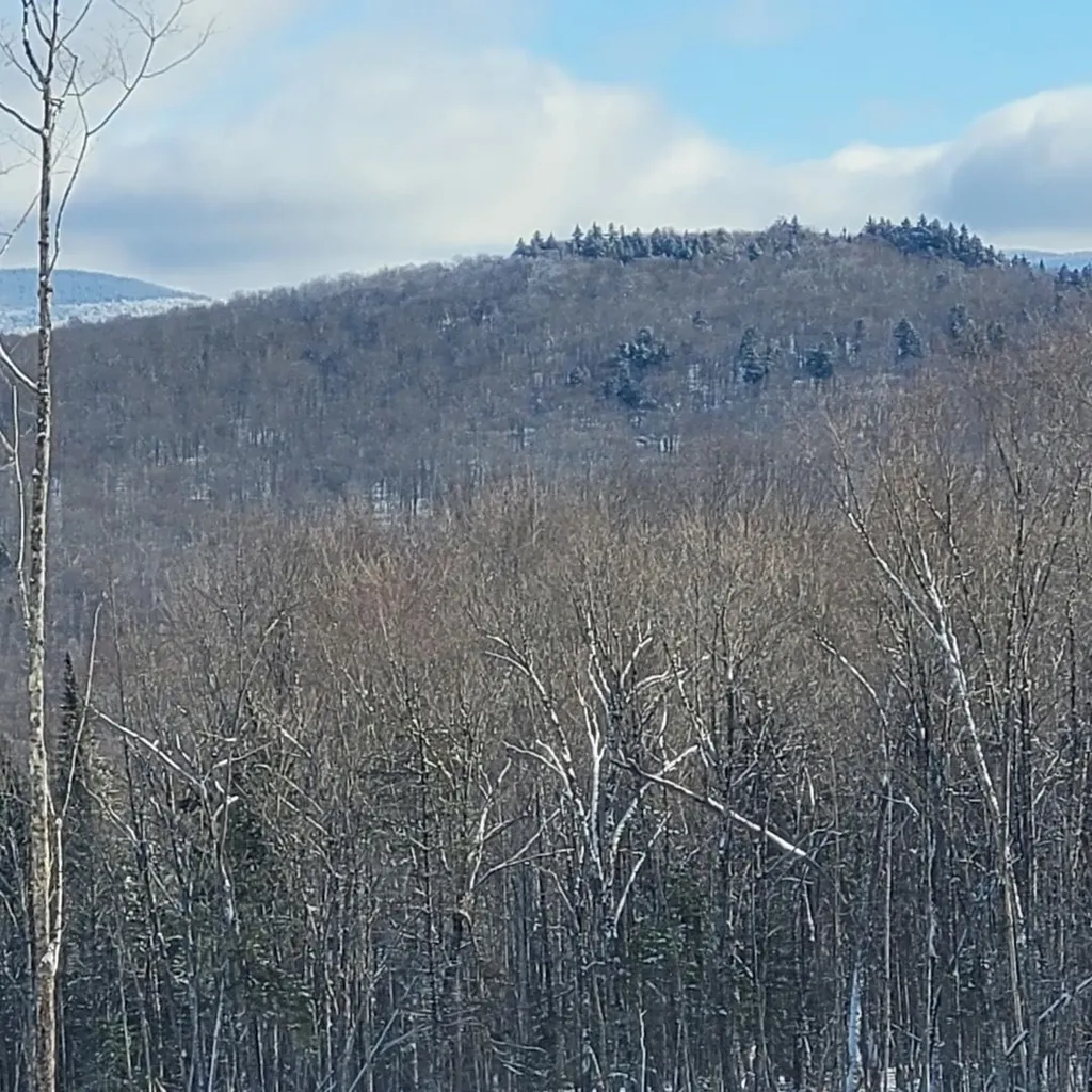 000 Kinney Hill Road Newark VT 05871