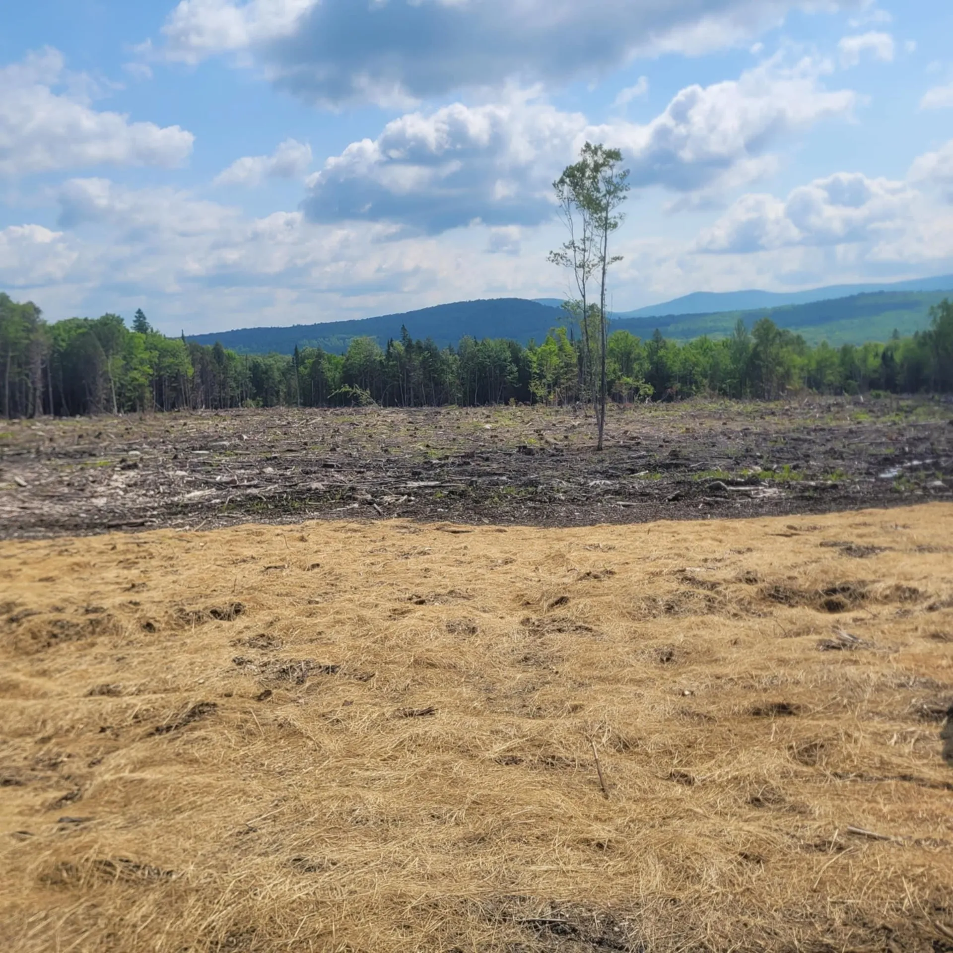 000 Kinney Hill Road Newark VT 05871