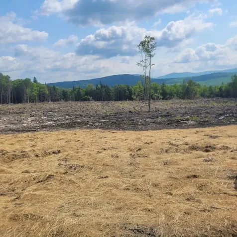 000 Kinney Hill Road Newark VT 05871