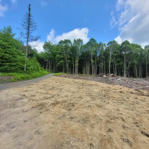 000 Kinney Hill Road Newark VT 05871