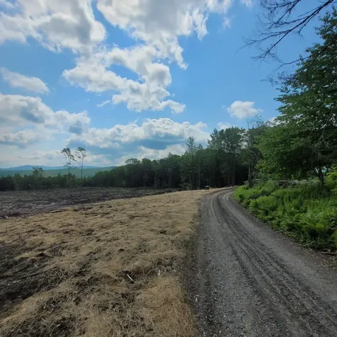 000 Kinney Hill Road Newark VT 05871