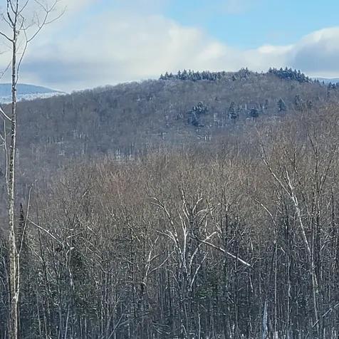 000 Kinney Hill Road Newark VT 05871