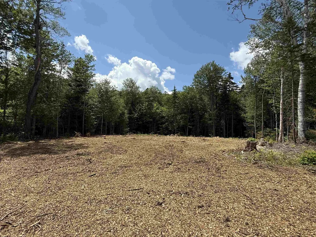 Lot 3 Old Mill Crossing Wilmington VT 05363