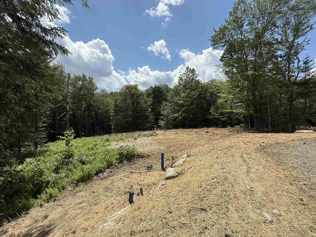 Lot 3 Old Mill Crossing Wilmington VT 05363
