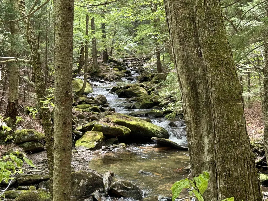 Lot 2 Old Mill Crossing Wilmington VT 05363