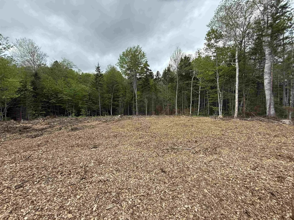 Lot 5 Old Mill Crossing Wilmington VT 05363