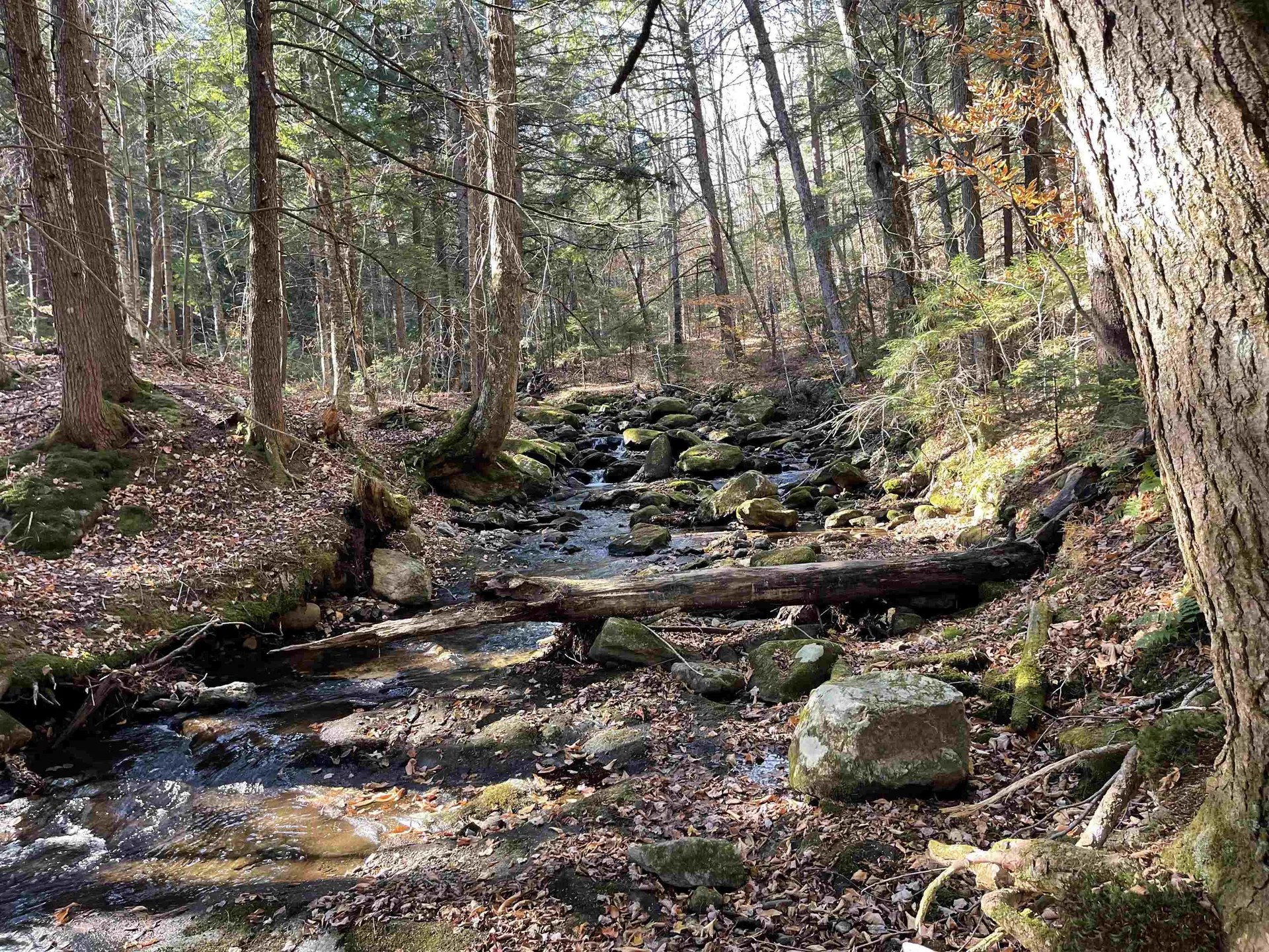 Lot 5 Old Mill Crossing Wilmington VT 05363