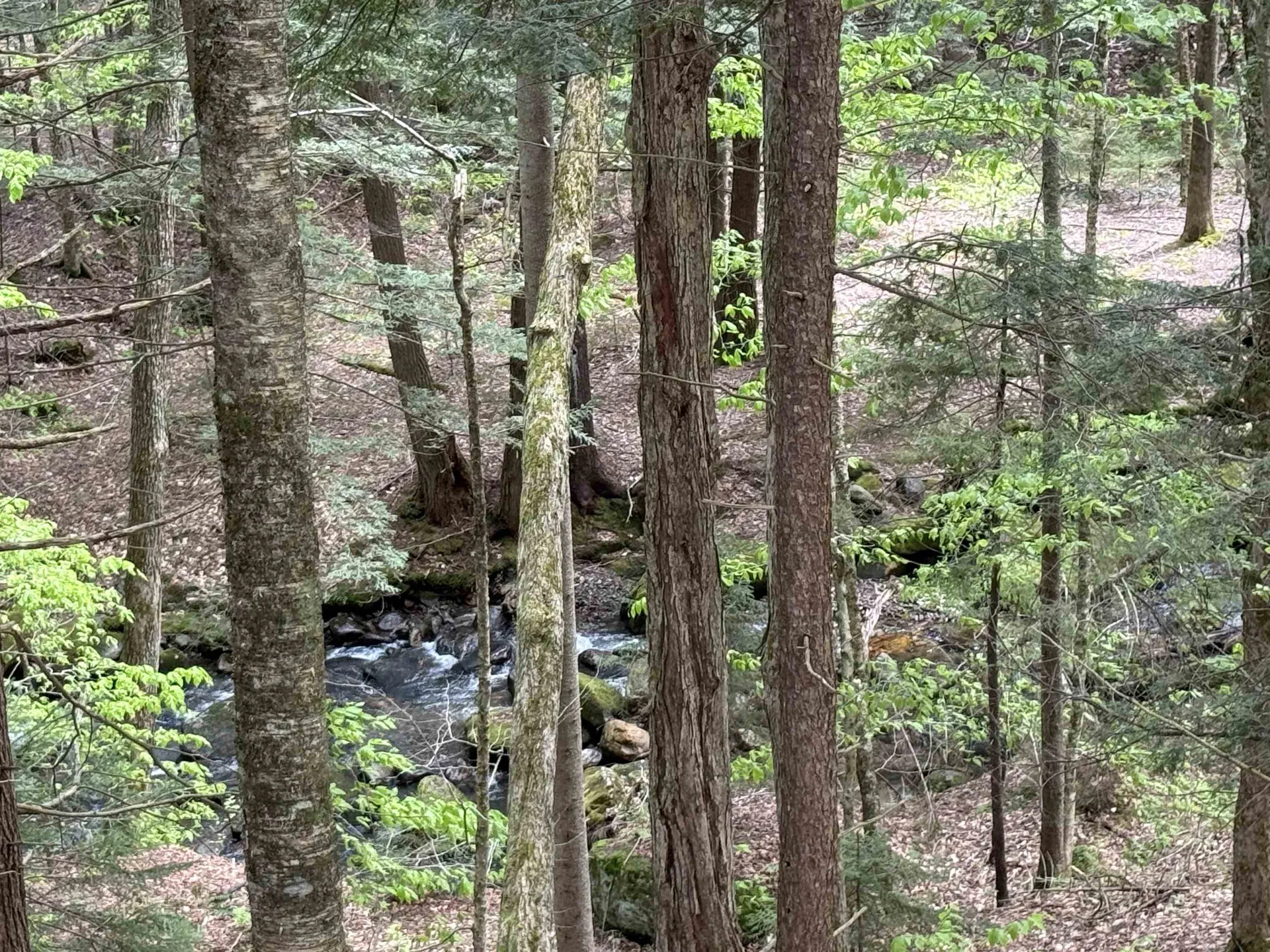 Lot 5 Old Mill Crossing Wilmington VT 05363