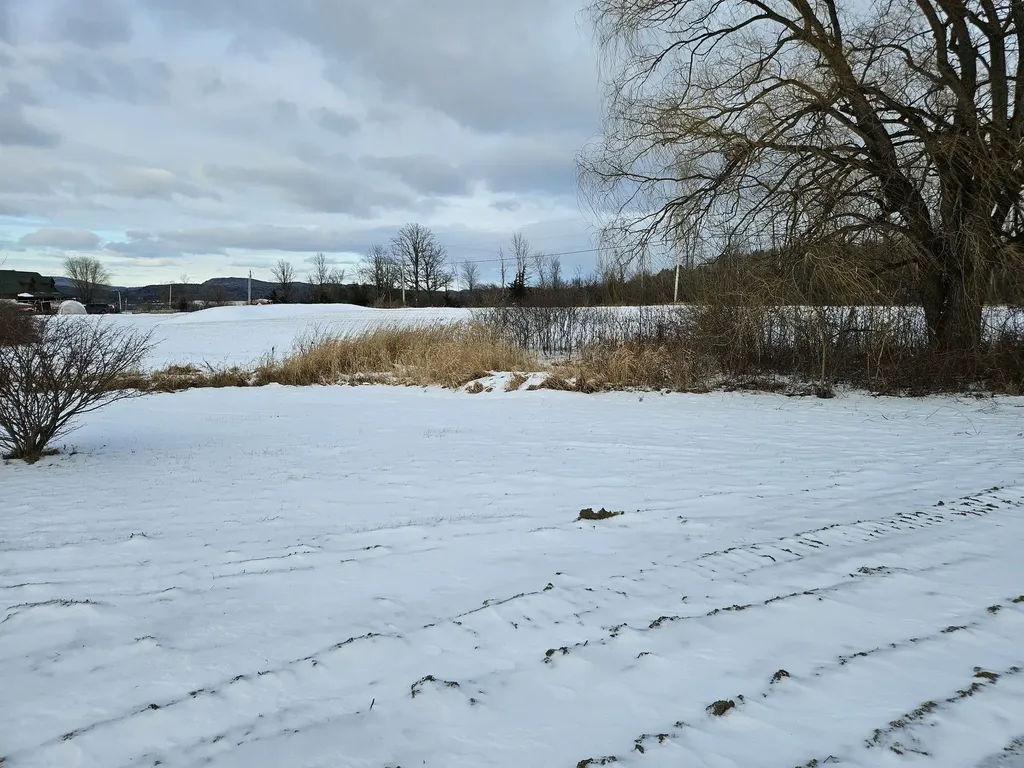 358 Pea Ridge Road Ferrisburgh VT 05456