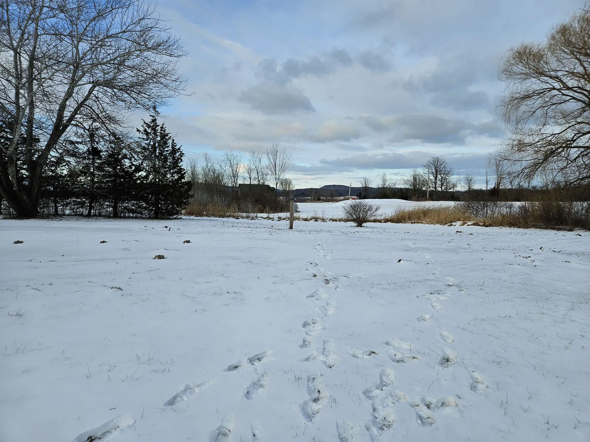 358 Pea Ridge Road Ferrisburgh VT 05456