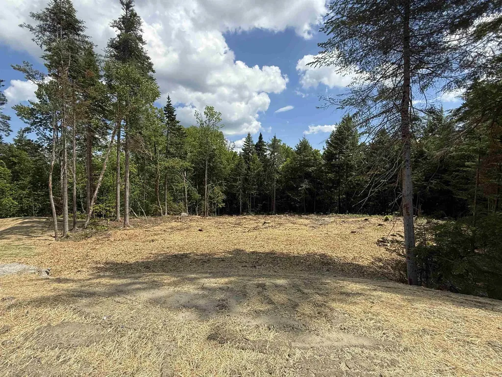 Lot 4 Old Mill Crossing Wilmington VT 05363