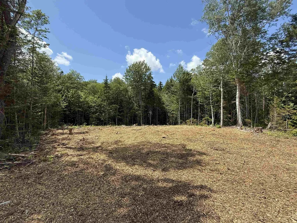 Lot 4 Old Mill Crossing Wilmington VT 05363