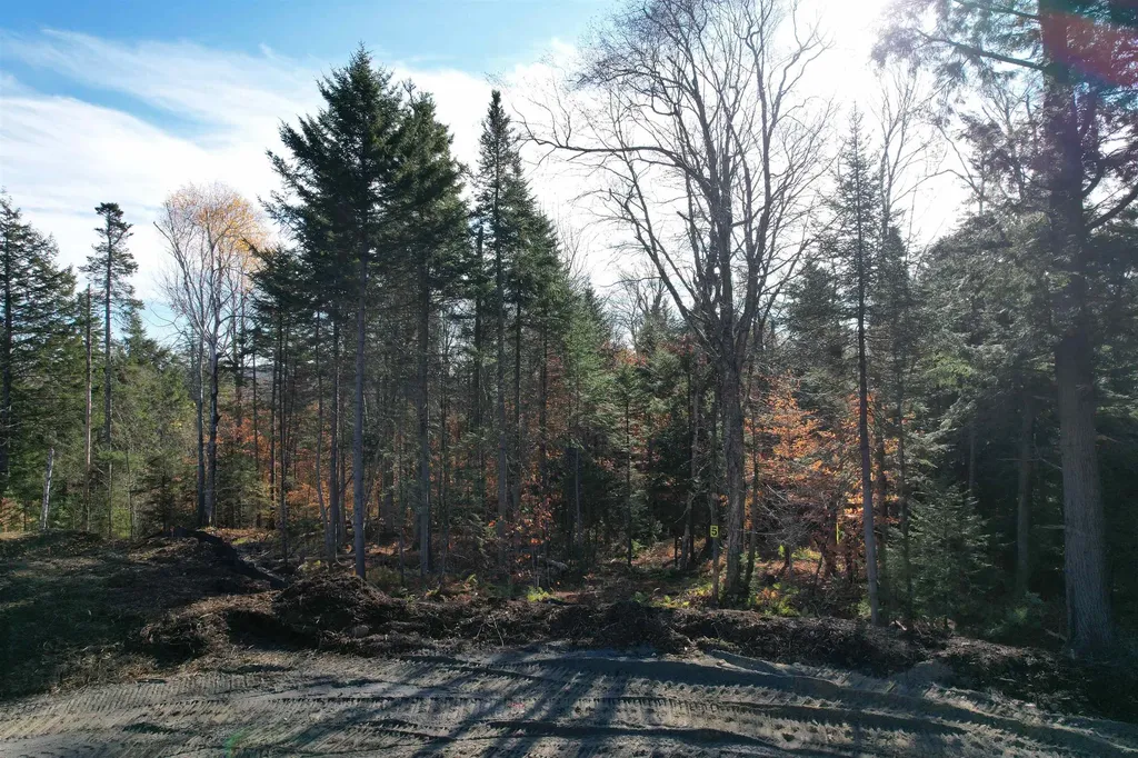 Lot 4 Old Mill Crossing Wilmington VT 05363