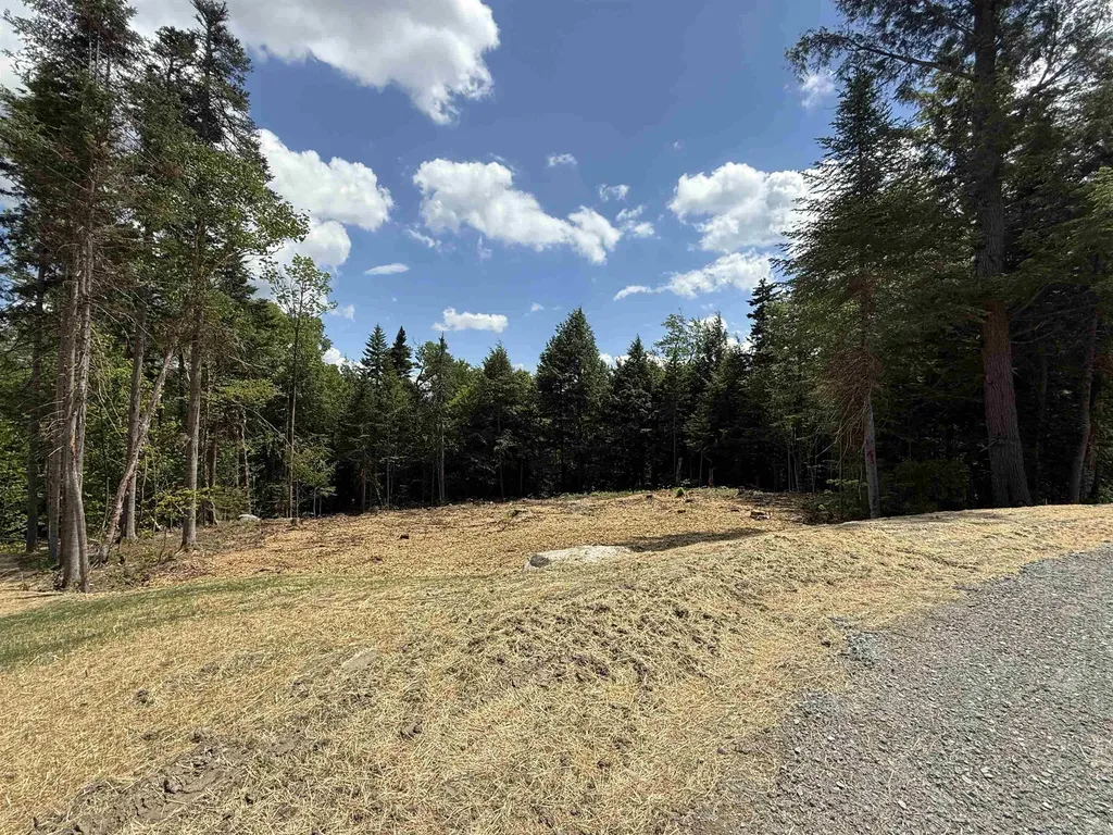 Lot 4 Old Mill Crossing Wilmington VT 05363