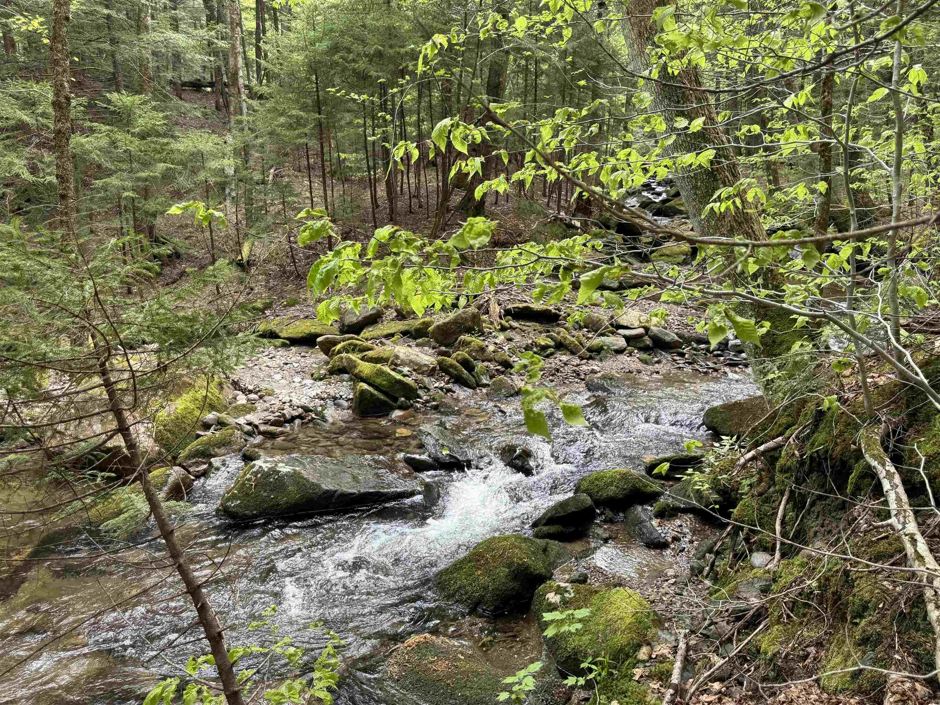 Lot 4 Old Mill Crossing Wilmington VT 05363