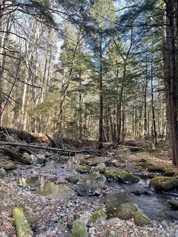 Lot 4 Old Mill Crossing Wilmington VT 05363