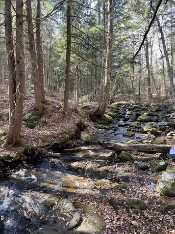 Lot 4 Old Mill Crossing Wilmington VT 05363