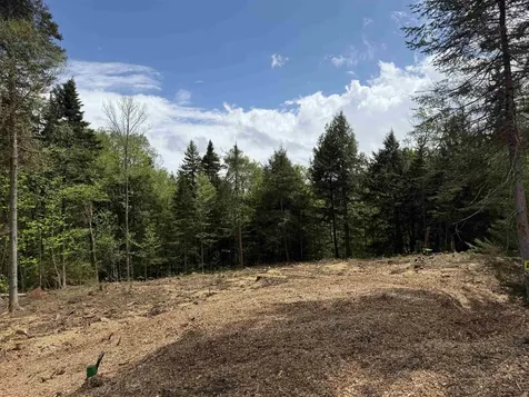Lot 4 Old Mill Crossing Wilmington VT 05363