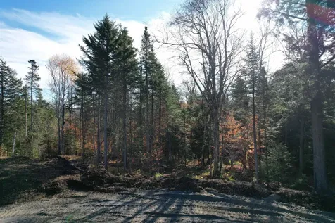 Lot 4 Old Mill Crossing Wilmington VT 05363
