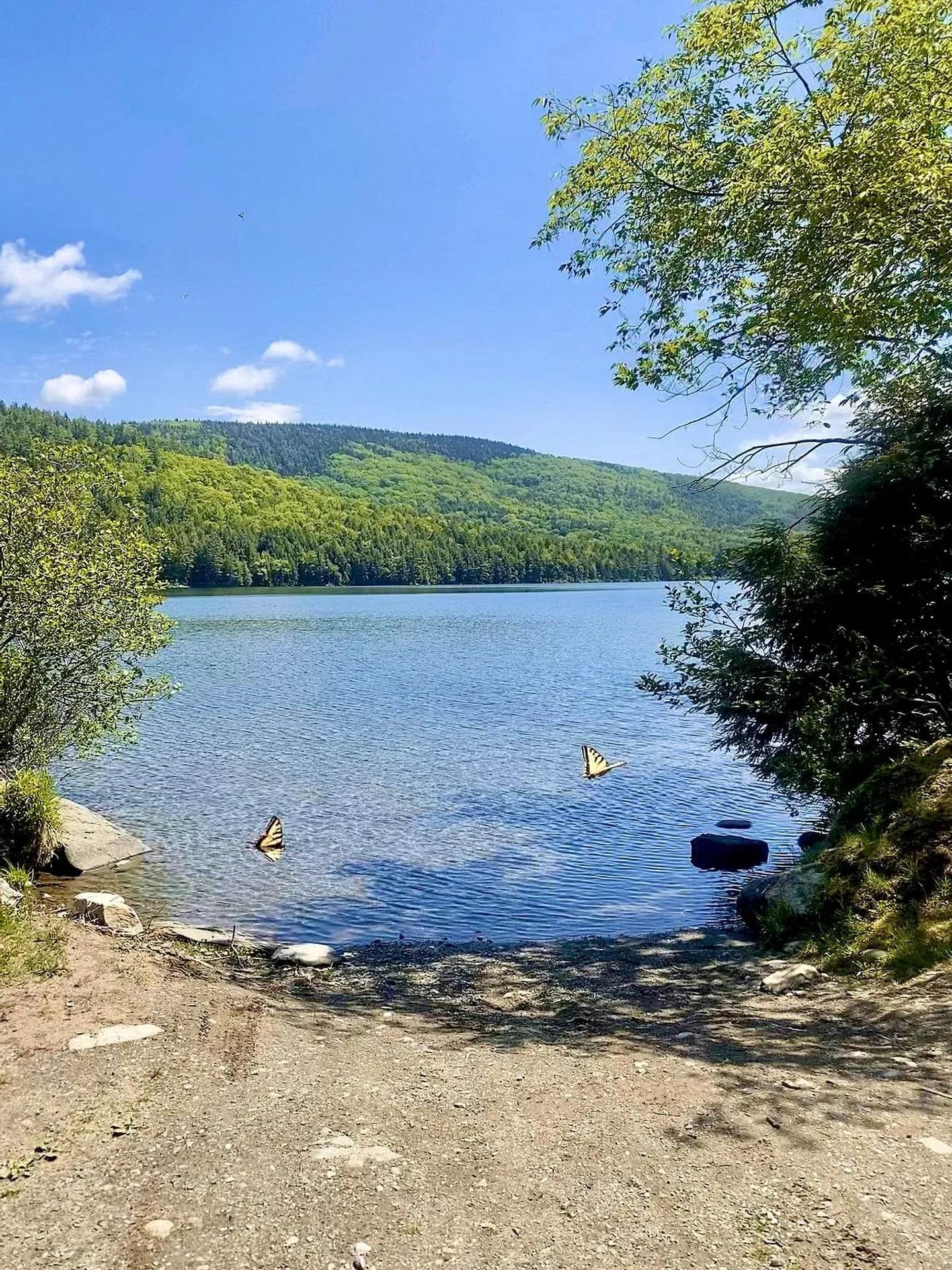 461 Indian Pond Road Orford NH 03777