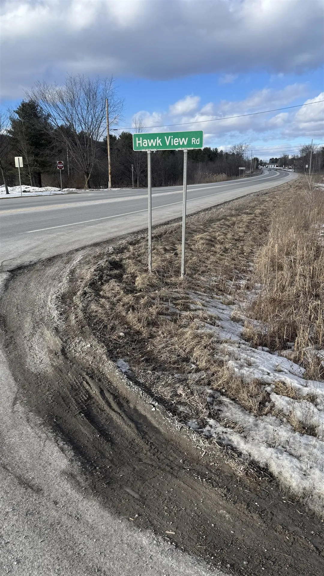 Hawk View Road Brandon VT 05733